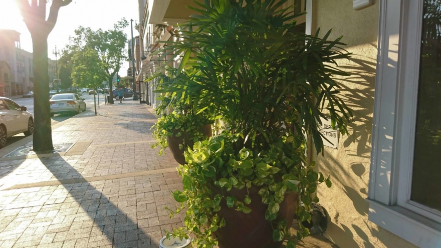 小内存能否大发挥？索尼XperiaXZ详细测评