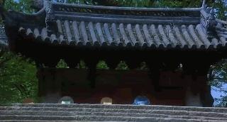 从《美人鱼》看星爷与钢炮成就了对方的最佳导演与影帝！