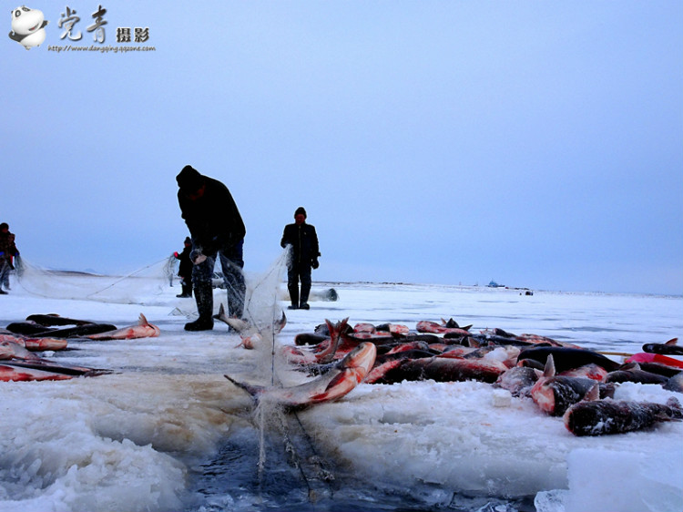 一个人眼中的成都,一个成都人眼中的四川