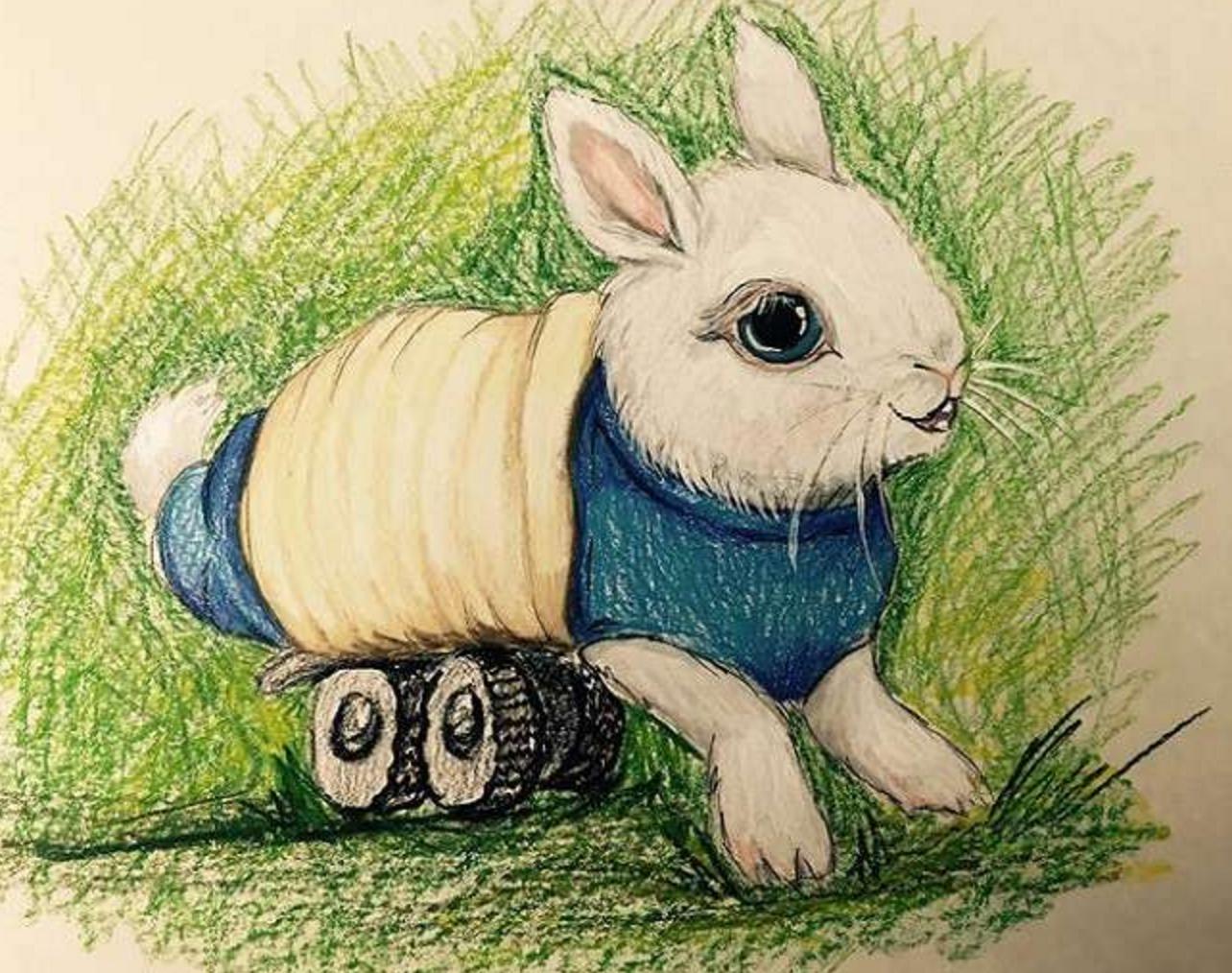 他救了这只小兔子时发现它下身已瘫痪,苦思之下想出一个绝妙方法