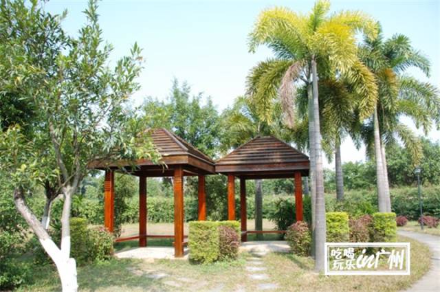 广州最新最美最好玩的景点,广州最值得去玩的景点推荐一下