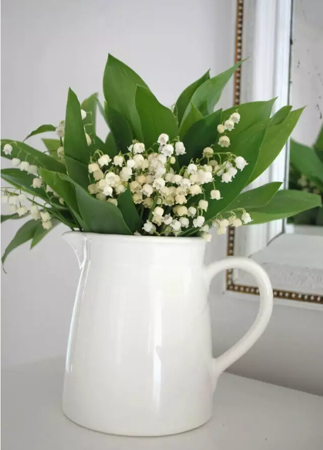 每日一花花语,周大福铃兰花开幸福归来