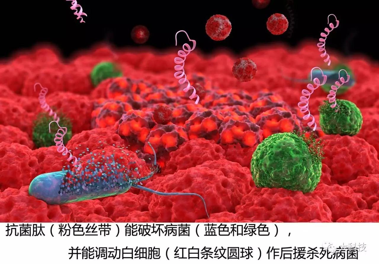 抗生素失效温度及加热时间,抗生素失效还有救吗