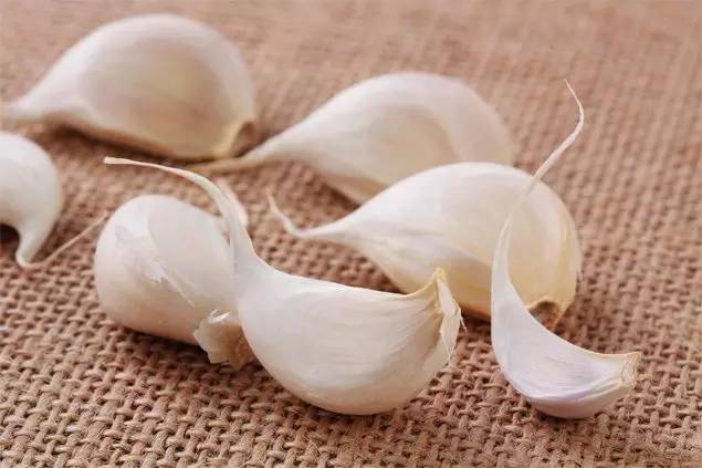 鞋子放的时间长了有异味怎么办,新鞋子有刺鼻异味怎么快速去除