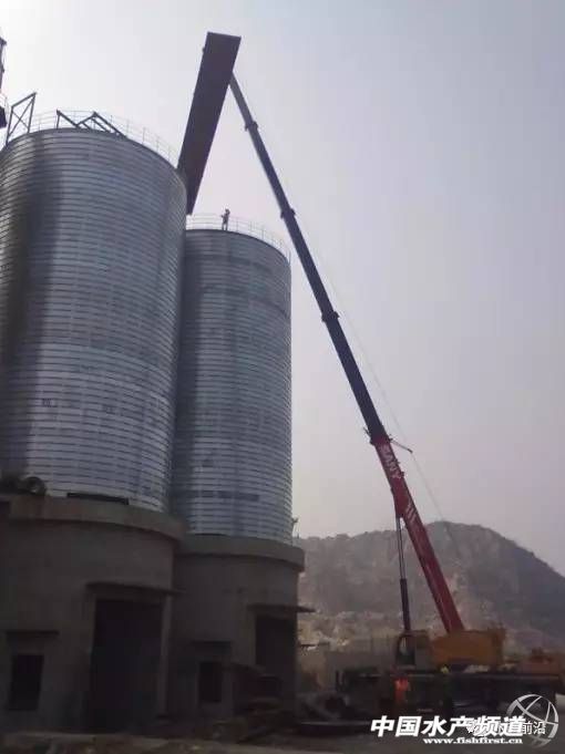 饲料工厂安全事故视频,饲料厂生产安全事故案例