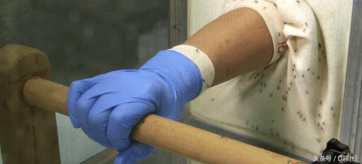 升级夏日光环,升级装备要用太阳之息吗