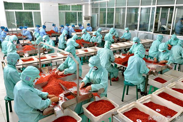 中宁民营经济发展进入西部百强县,中宁生产总值