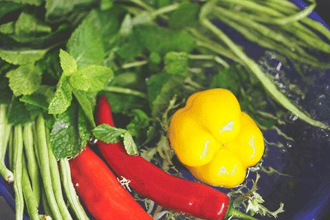 营养师对幼儿饮食建议,营养师讲婴幼儿饮食