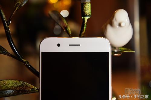 oppor11详细测评,oppor11优缺点详细评测