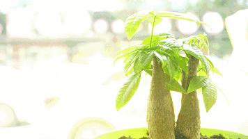 必须曝光这家店,就是它承包了一半章丘人的胃!