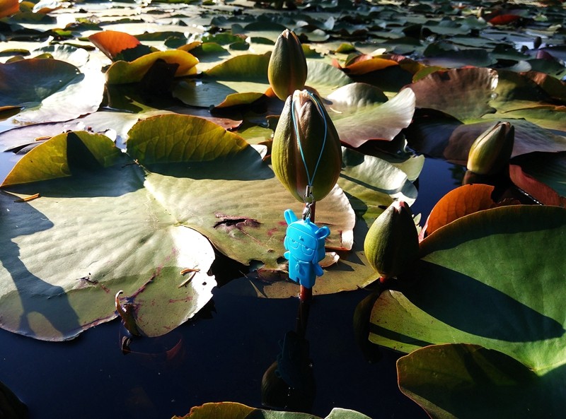 小米2tb的u盘,小米的u盘怎么样