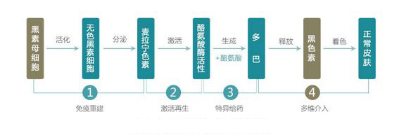 白癜风有效疗法,治白癜风的偏方快速治好白癜风