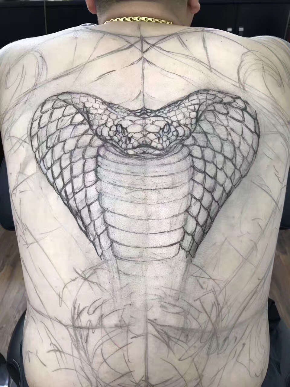 岳阳新刺客纹身多少钱,岳阳新刺客满背纹身