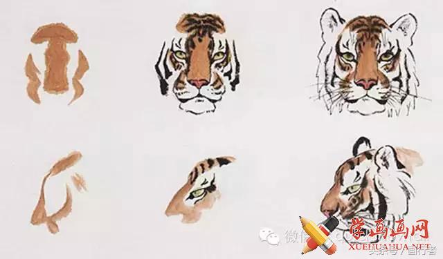 画虎年的老虎,如何画虎年的老虎