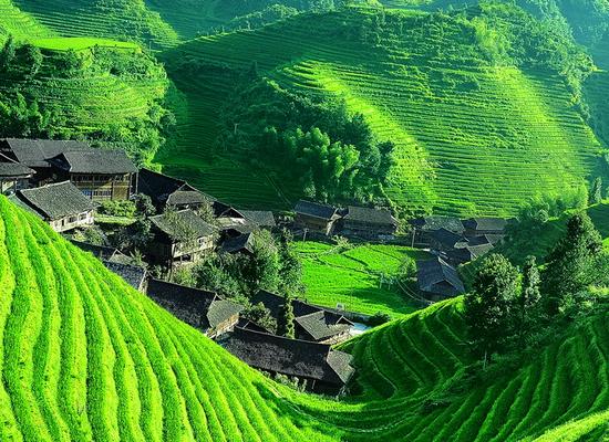 桂林最全旅游攻略,桂林11月旅游自由行攻略