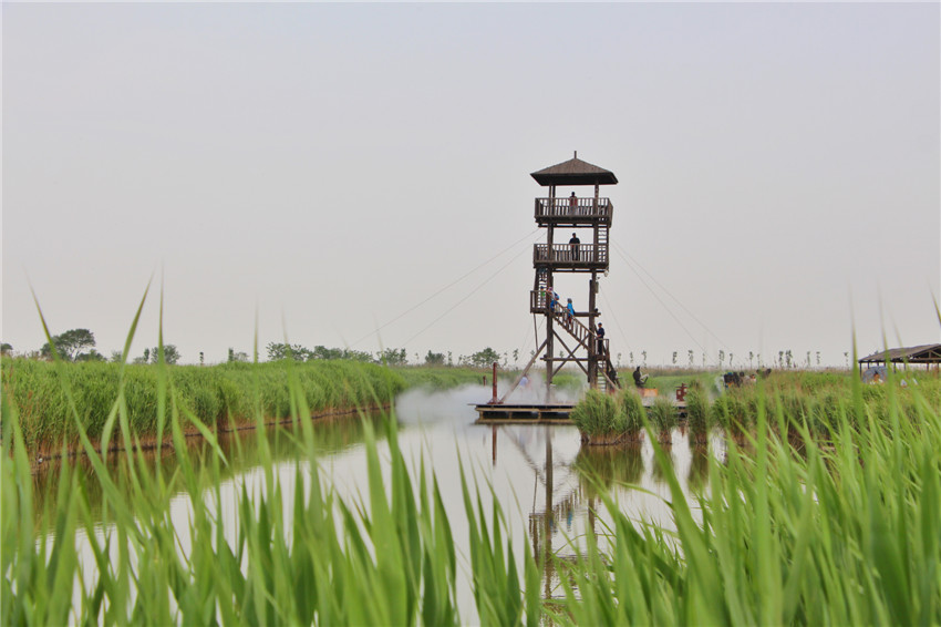 你不曾来过原唱完整版,曹妃甸美景