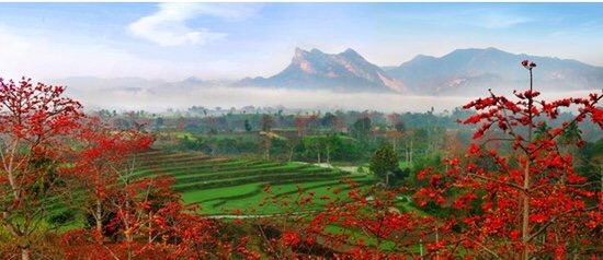 海南沙漠之旅,走进沙漠去感受独有的沙漠魅力