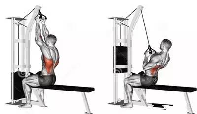 不练背和腿的训练安排,不练背阔肌的动作