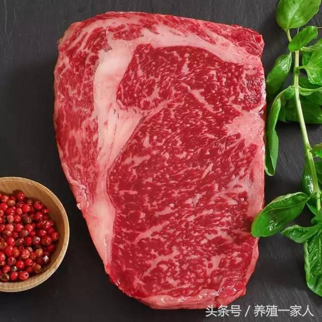 全牛各部位分割图解与吃法,牛肉超齐全的顶级牛肉知识和做法