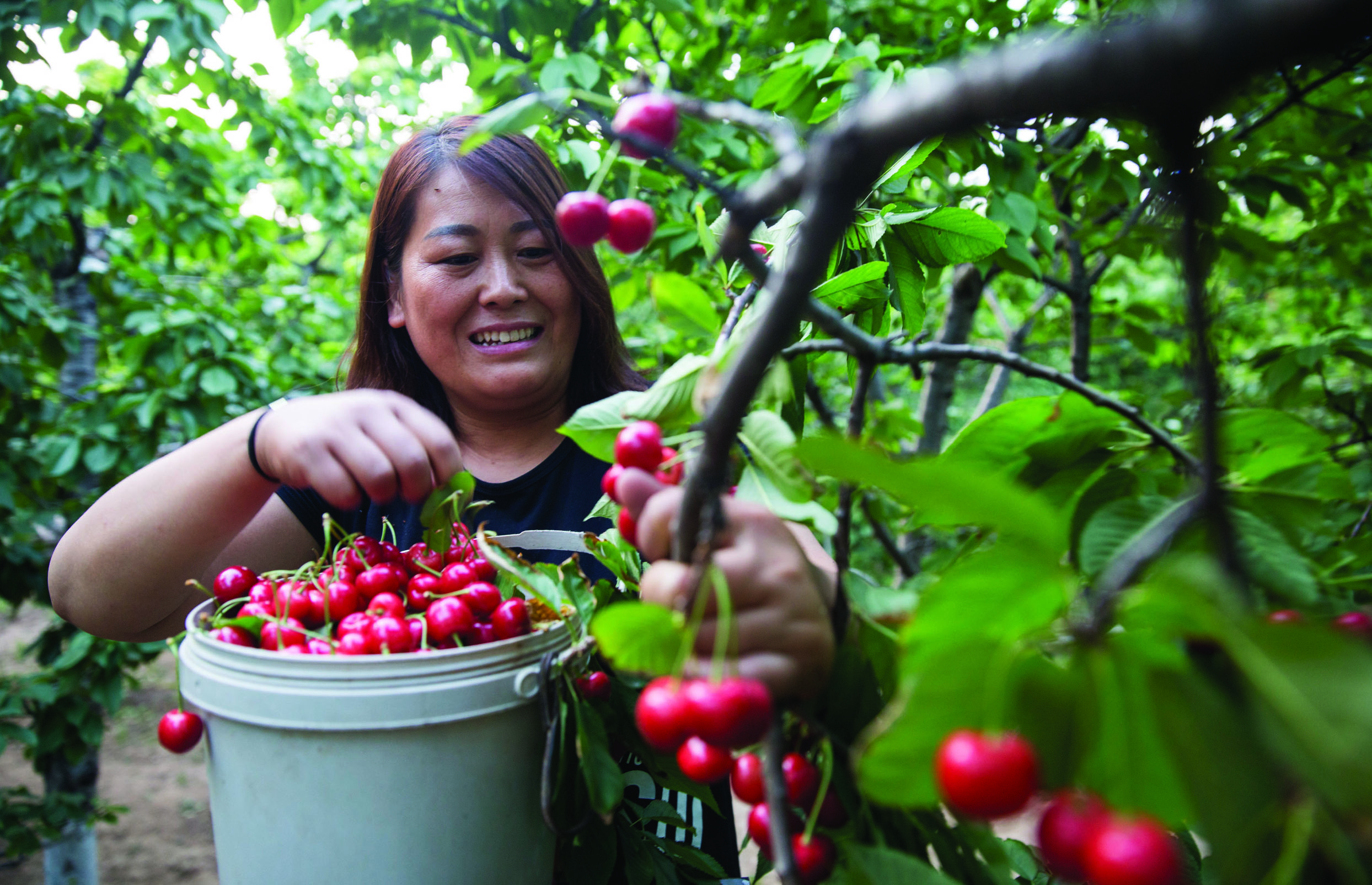 奋力书写新时代奋斗答卷,奋力书写脱贫奔小康的酉阳答卷