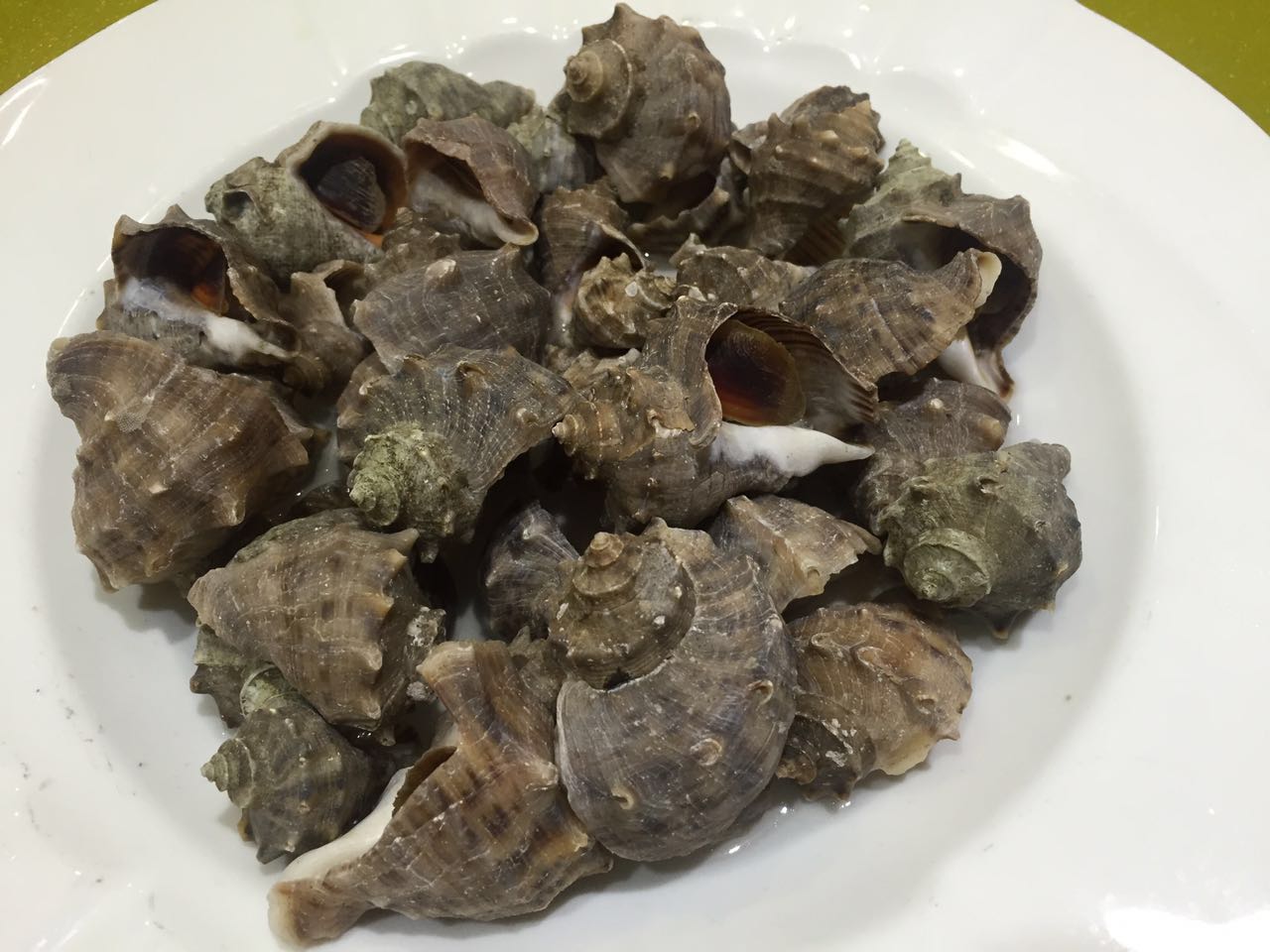 在北戴河可以吃什么,秦皇岛现在吃啥海鲜好