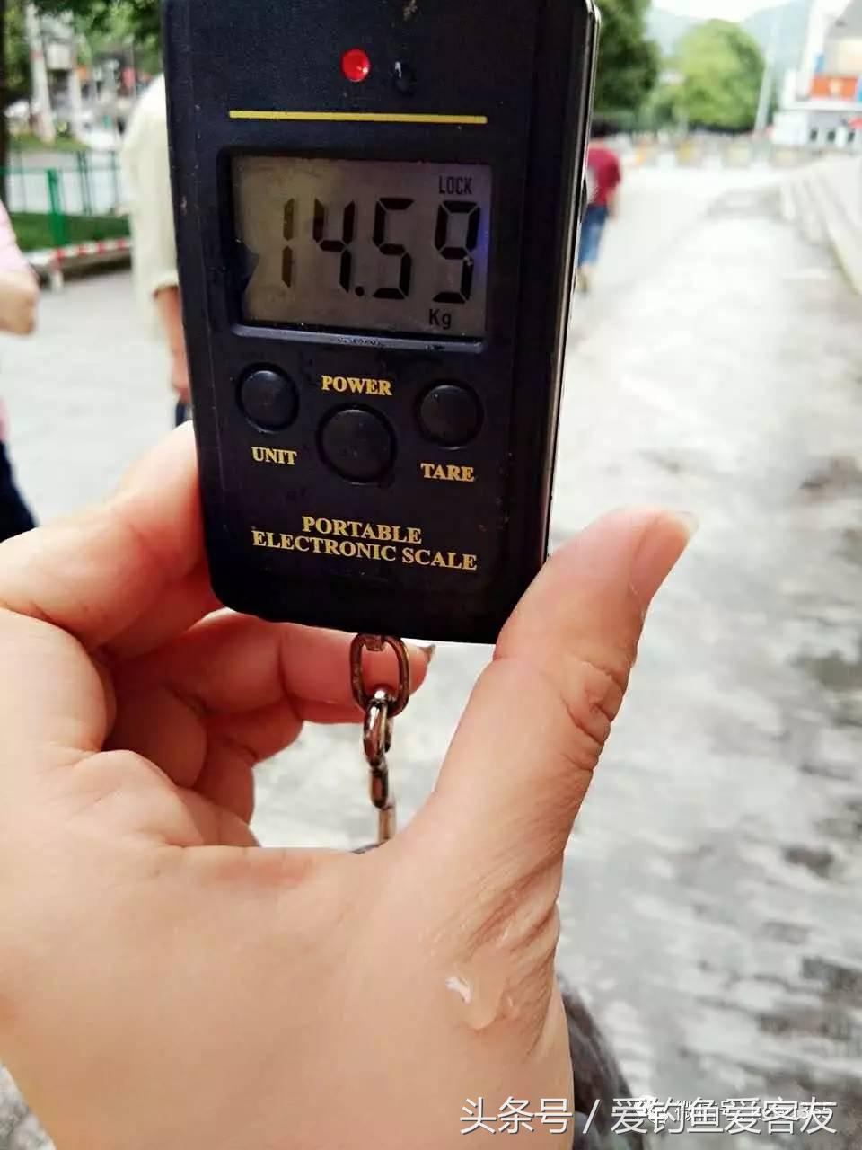 30斤老乌青上岸记