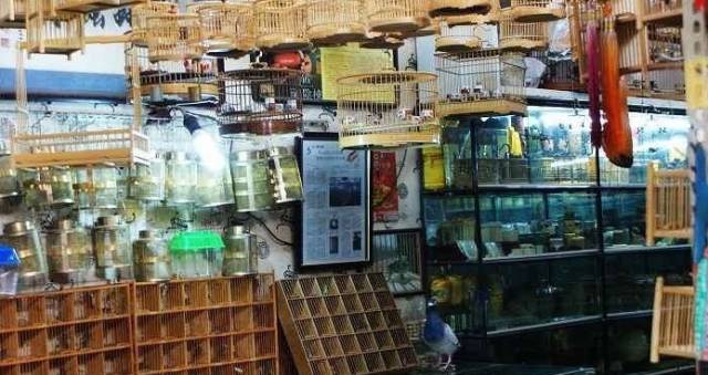 北京哪些超好逛的批发市场,北京最全的市场