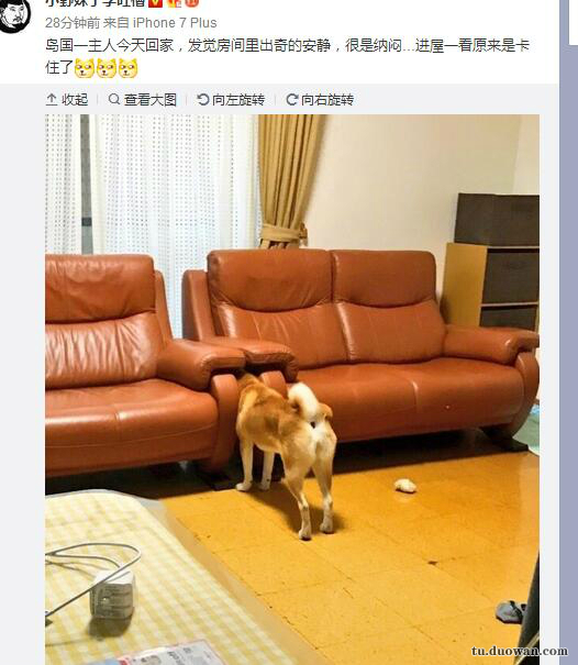 每日一乐让你快乐,每日一乐好不好