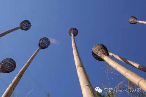 国内居然还有用人头祭祀的神秘部落！淘宝掌柜环游旅行第二十七集