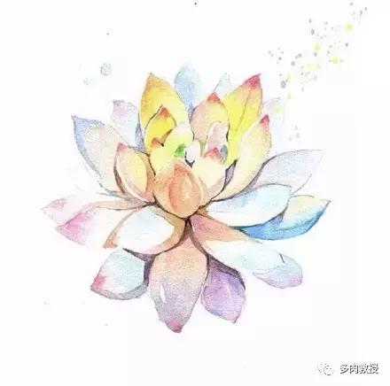 多肉的奇特之处,养的多肉长了蘑菇