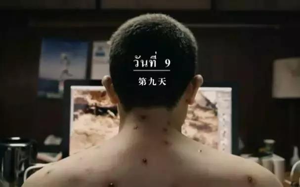 泰版张柏芝完整版,张柏芝泰国电视剧大全