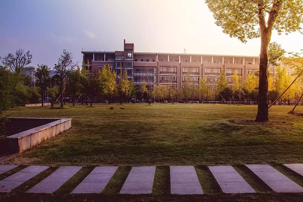 名师教日语半年,名师说专业