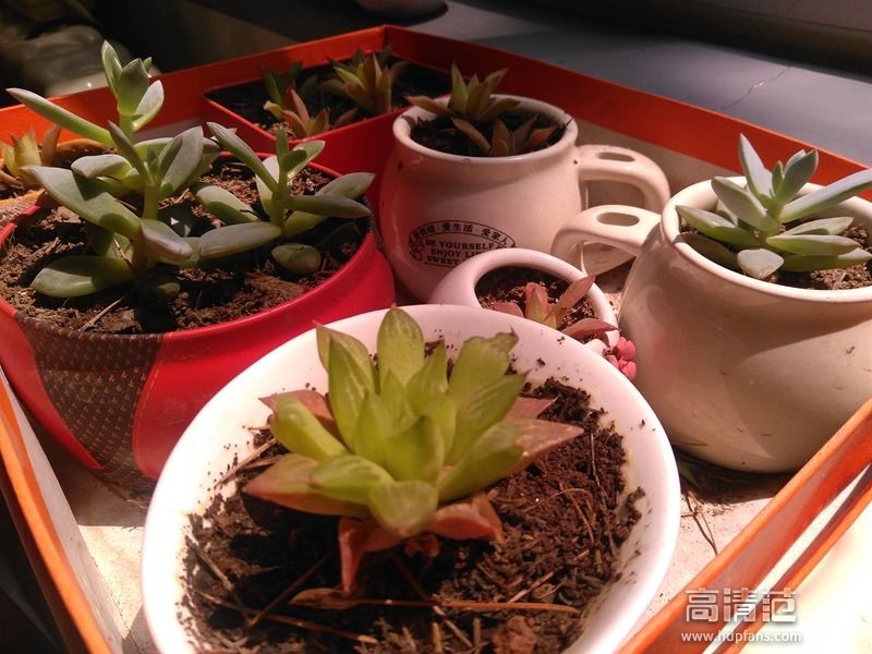 小辣椒4a手机怎么样,红辣椒4a最新测评