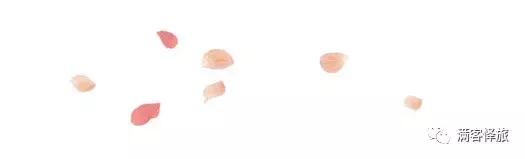 满客旅游｜毕业旅行：行遍江南清丽地，人生只合住湖州——太湖雷迪森欢迎您