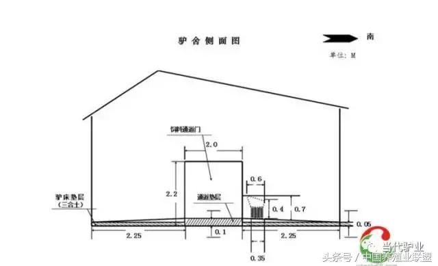 养驴驴舍怎么建,养驴的圈舍怎么建设
