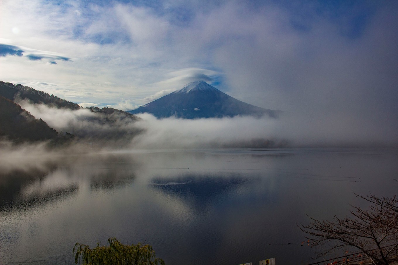 日本物语落樱下的邂逅,浪漫的日本物语