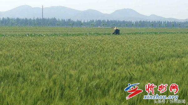 忻州市政协座谈会,忻州市政协调研