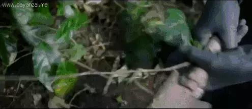 有强迫症的人怎么治愈,强迫症最痛苦的时候怎么解决