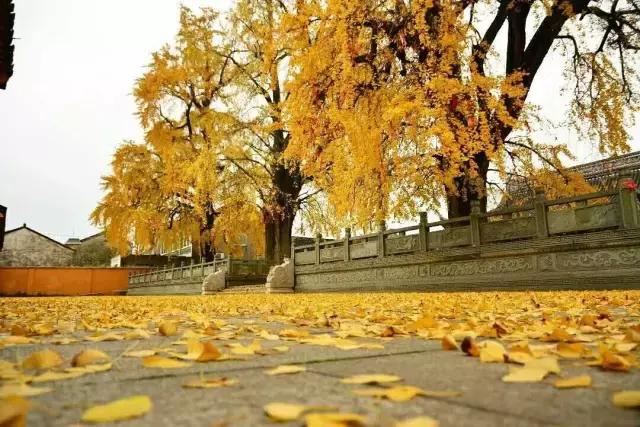 在张家港生活是什么体验,在张家港的生活