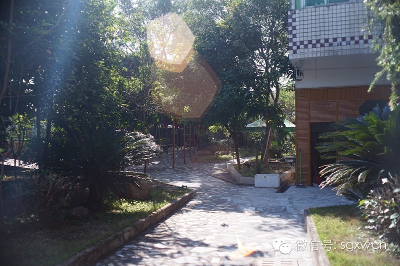 小曾吃饭最新视频,小曾吃火锅