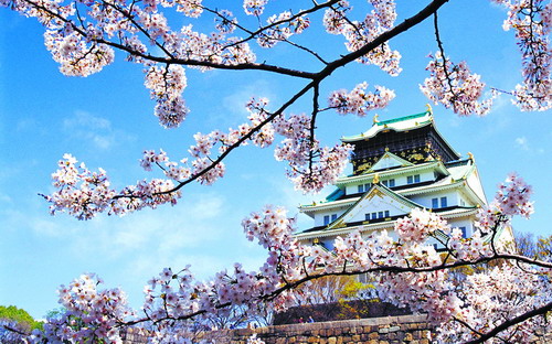 春花烂漫惹人醉踏青赏花正当时,春花烂漫时相约龙盘山