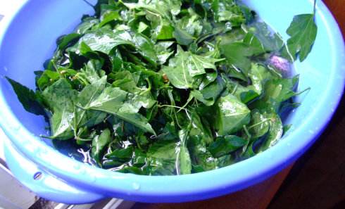 头发干枯如稻草教你一分钟解决,头发像稻草一样干枯怎么办