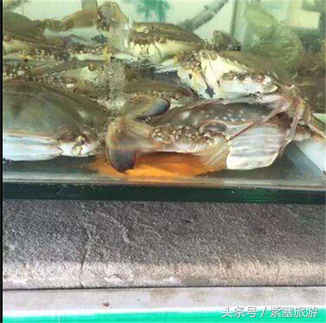 河北田园农家乐攻略,河北海边最有特色的海边农家乐