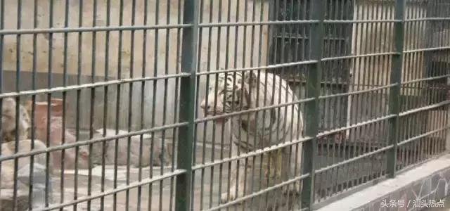 汕头十大公园,汕头公园免费排行榜