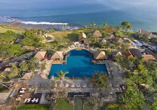 喜大普奔完整版视频,喜大普奔完整视频