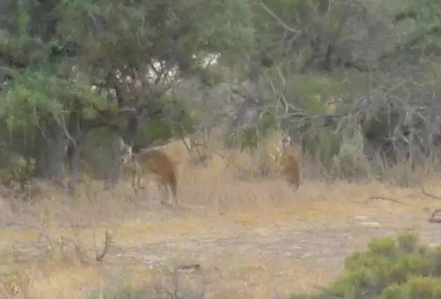 西澳珀斯游记,西澳游记攻略