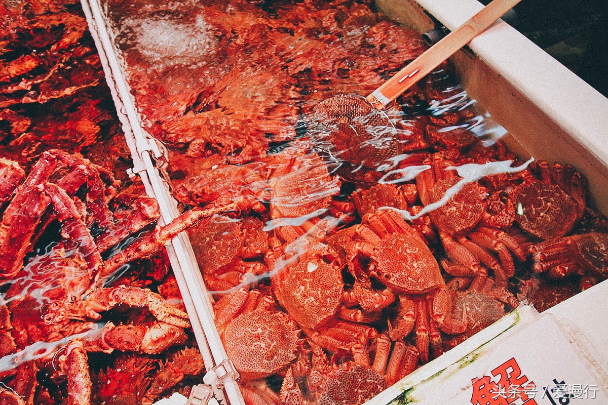 一封来自小樽的情书完整版,吃货小情书