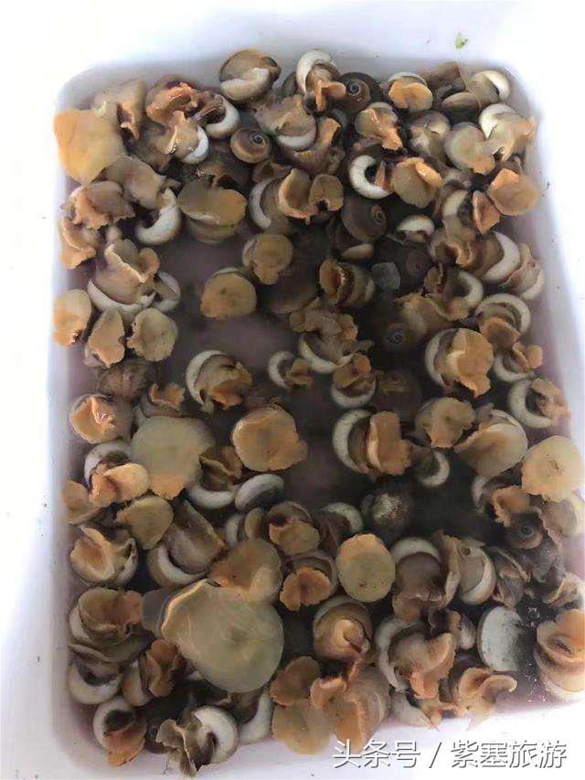 河北田园农家乐攻略,河北海边最有特色的海边农家乐