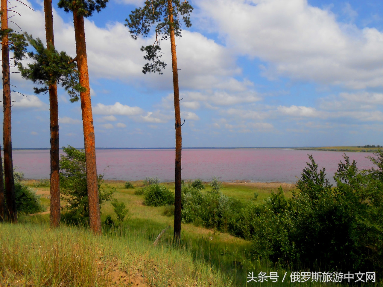 阿尔泰怎么样,阿尔泰什么地方