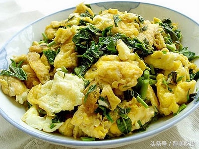 野菜马齿苋的功效与作用禁忌,吃野菜马齿苋有什么禁忌